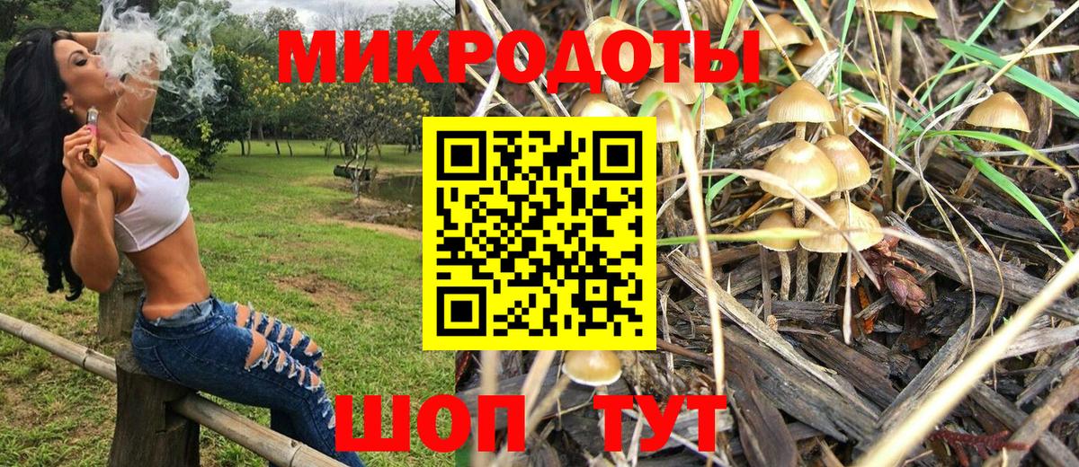 Псилоцибиновые грибы GOLDEN TEACHER Углич